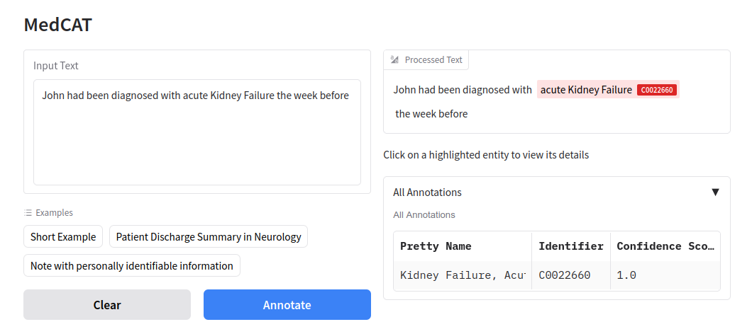 Demo UI: MedCAT named entity recognition