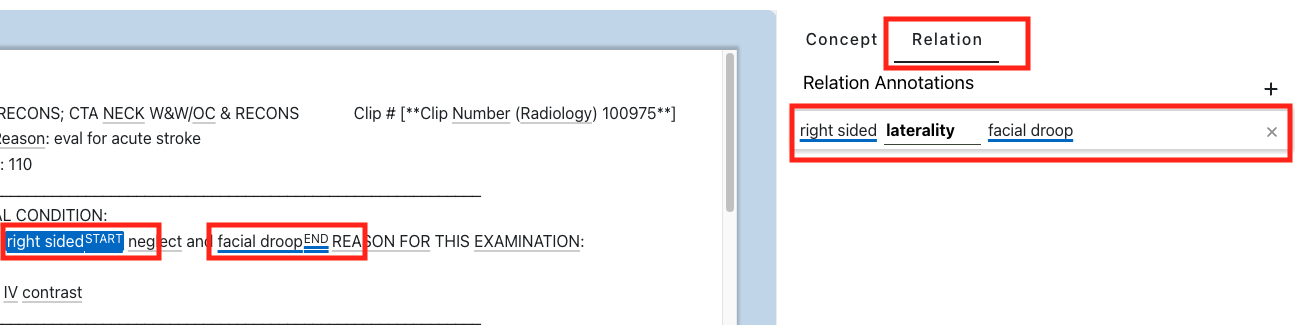 Relation Annotation Interface